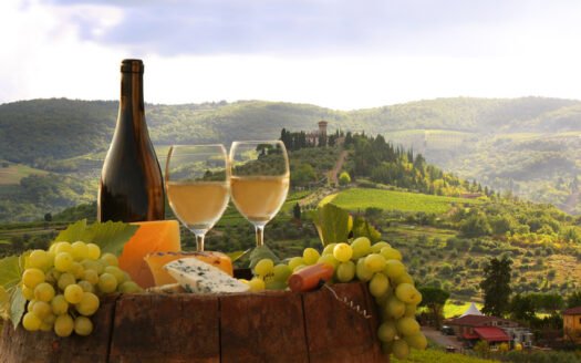 przewodnik po włoskim winie