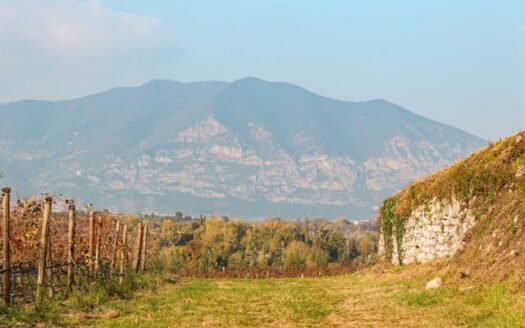 Piemont – życie między górami a winnicami