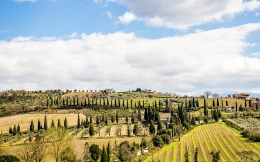 Jak wygląda życie na włoskiej wsi